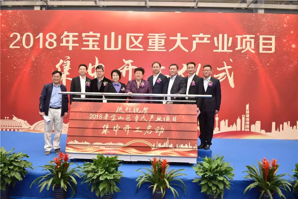 宝山区最新发展动态及亮点解析，新闻综述与深度报道