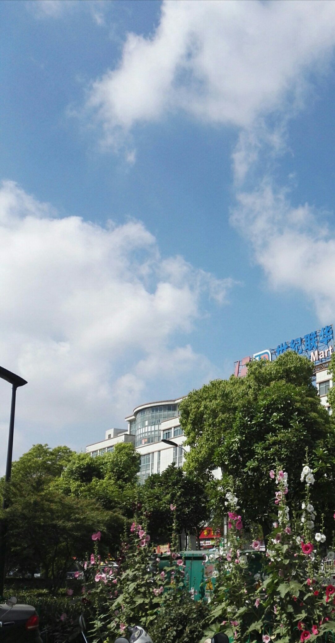 致和街道最新天气预报更新通知