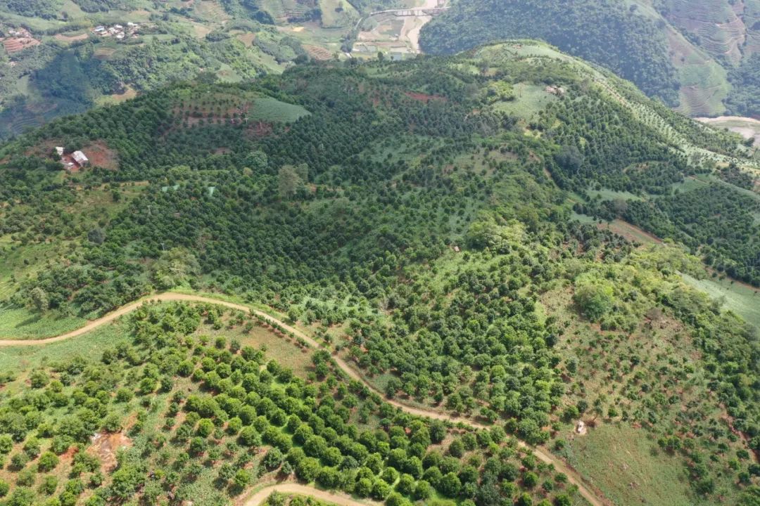 大岗灵山最新招募司机，职业之旅启程，未来展望揭秘