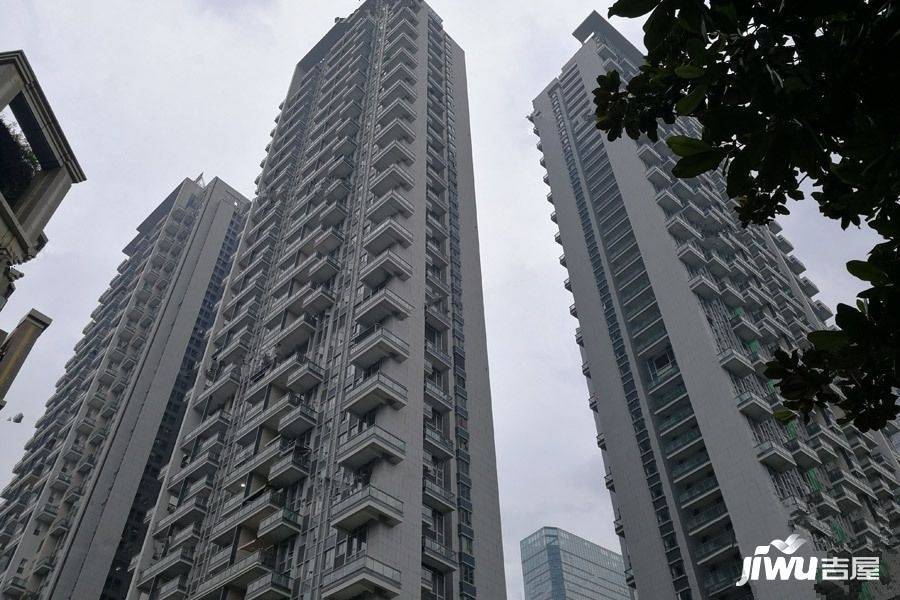 2025年2月10日 第2页