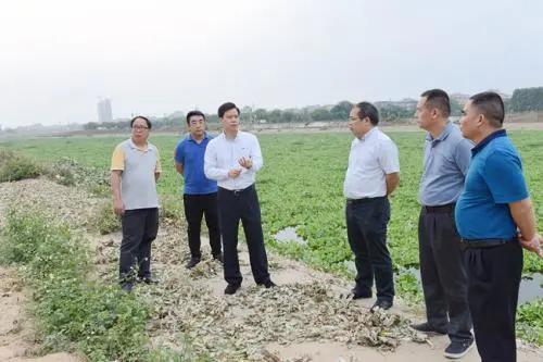 干湫子安置林场最新人事任命动态解析及任命名单公布