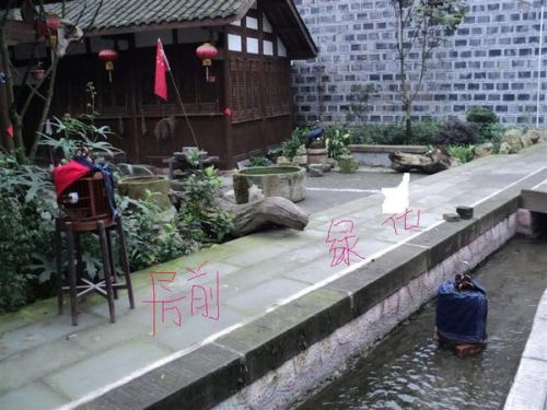 成都最新农家小院出租，体验乡村生活的绝佳选择