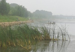 宗政雅诗